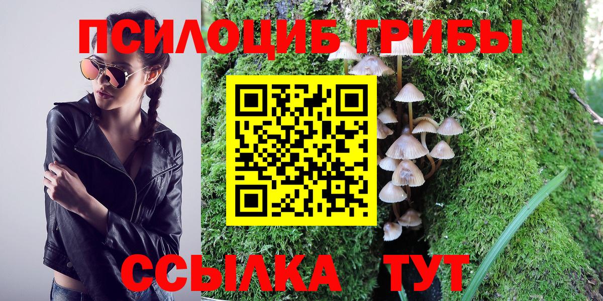 Галлюциногенные грибы Psilocybine cubensis  Вход с VPN  Котлас 